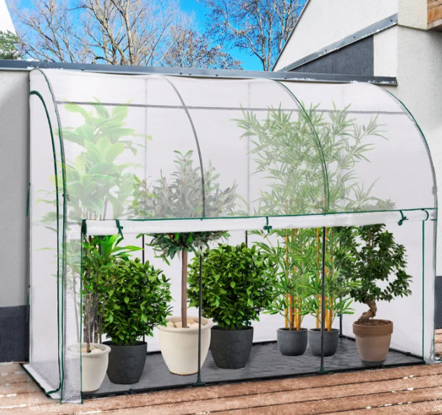 Serre murale pour l'hivernage des plantes