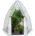 Grande serre d'hiver pour plantes