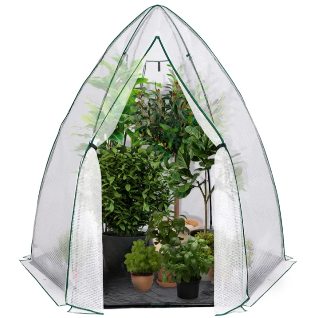 Grande serre d'hiver pour plantes
