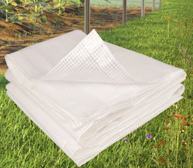 Bâche transparente renforcée 5x8 m