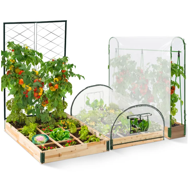 Complete kit: 3 raised garden beds and tomato greenhouse + trellis + cover