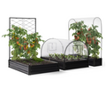 Carré potager surélevé en métal avec serre à tomates + treillis + couverture