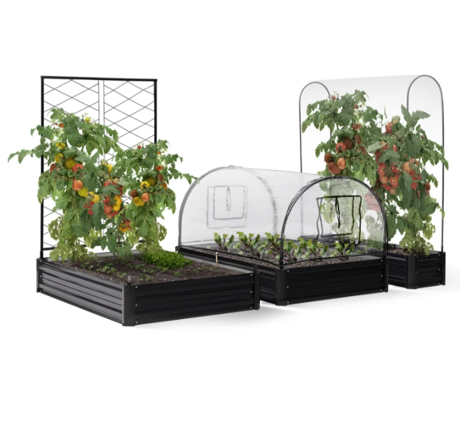 Carré potager surélevé en métal avec serre à tomates + treillis + couverture